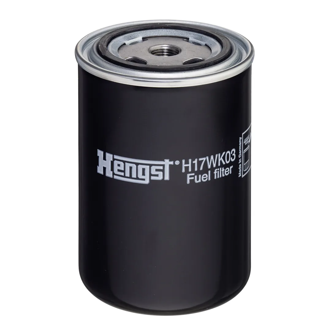 H17WK03 Hengst