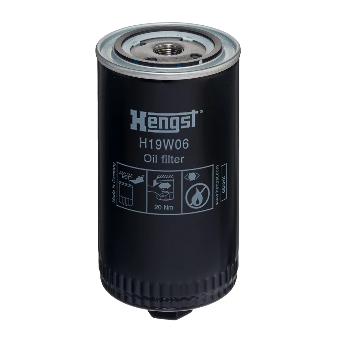 H19W06 Hengst