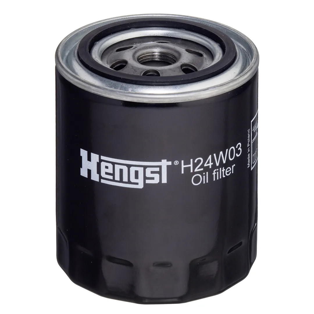 H24W03 Hengst