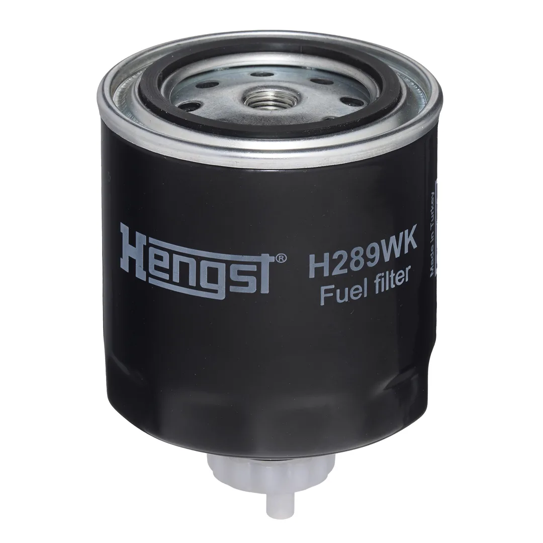 H289WK Hengst
