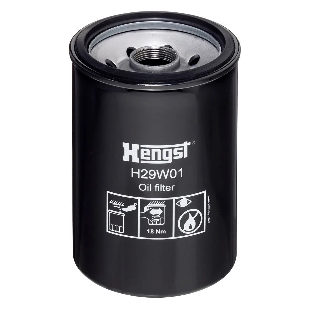 H29W01 Hengst