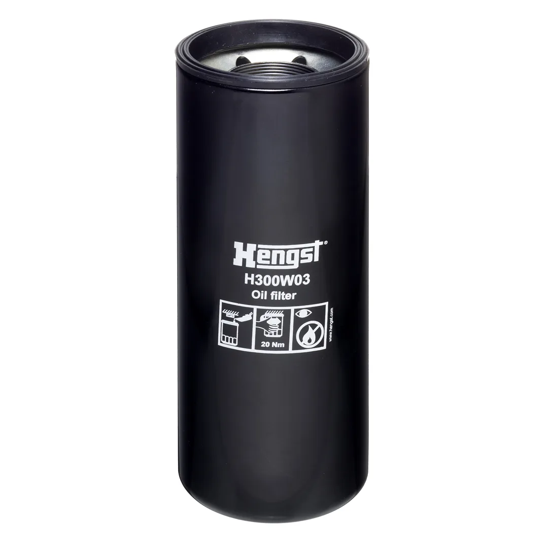 H300W03 Hengst