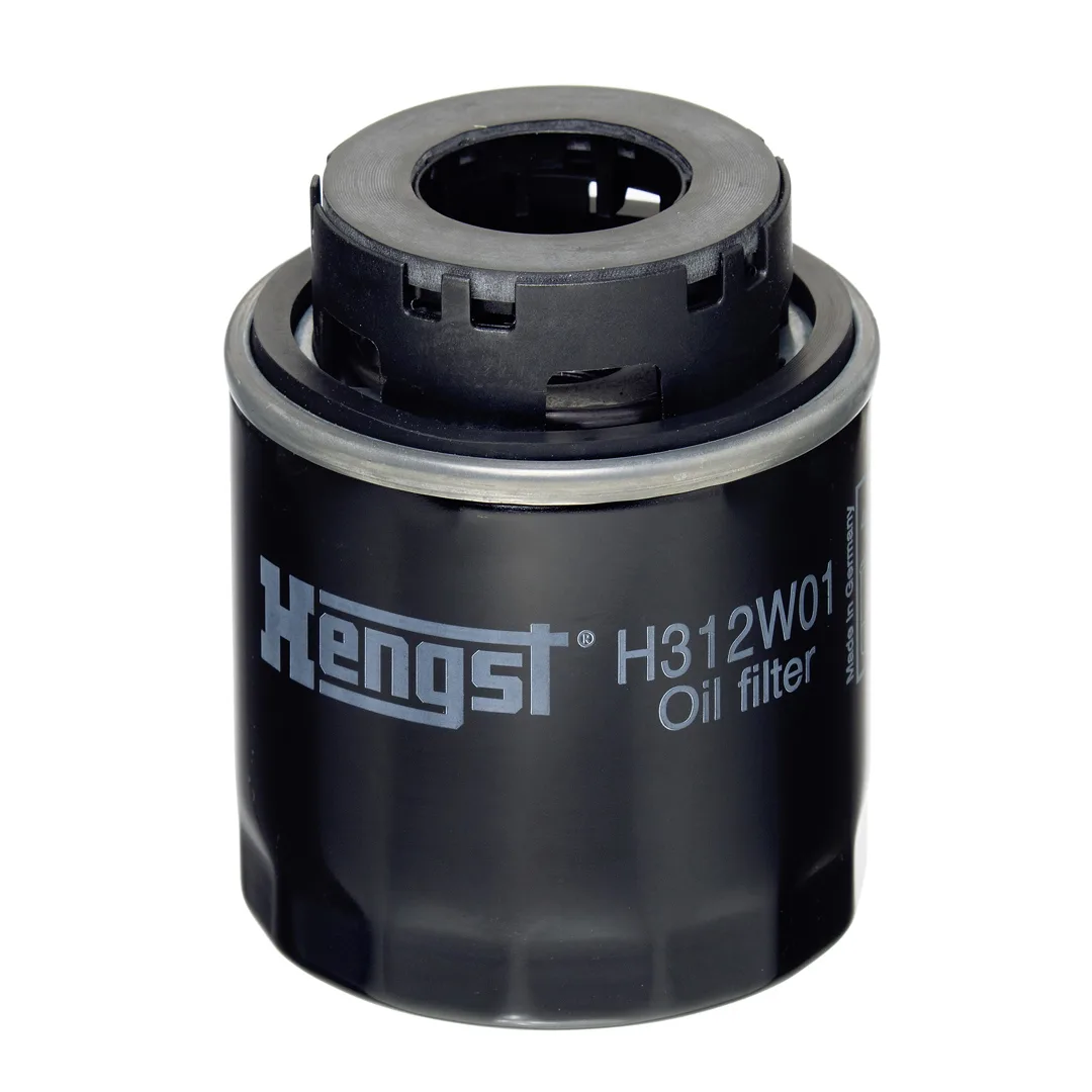 H312W01 Hengst