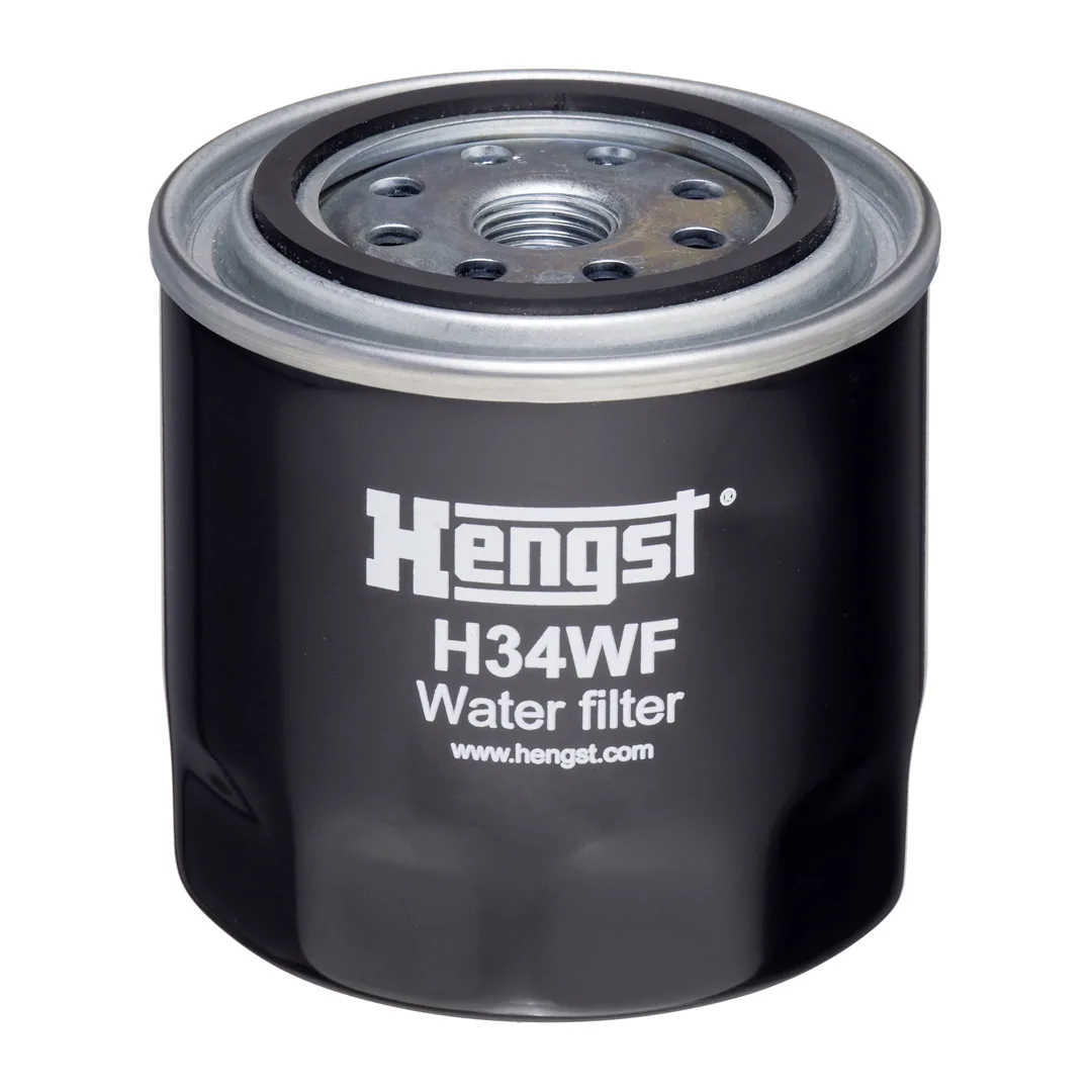 H34WF Hengst
