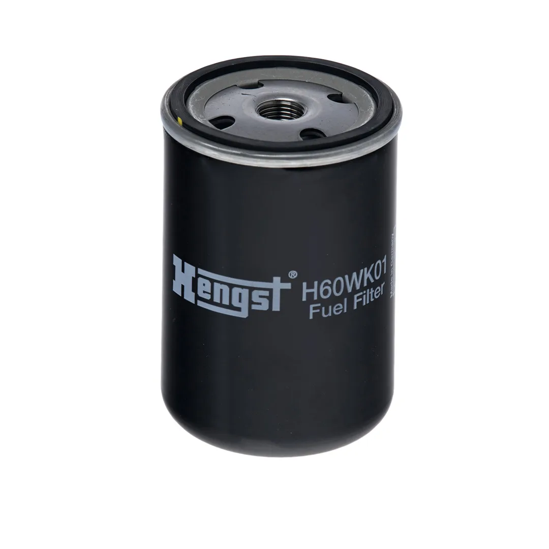 H60WK01 Hengst
