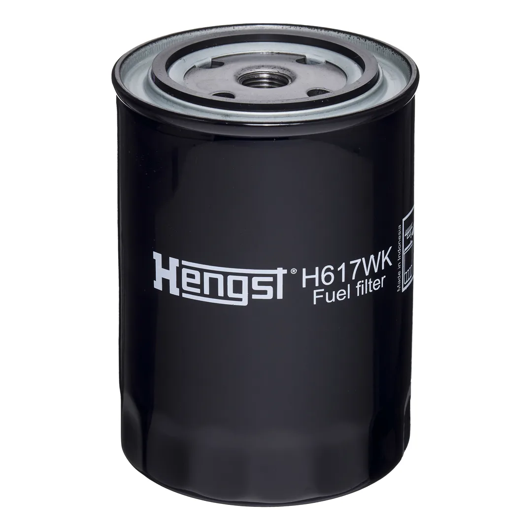 H617WKD725 Hengst