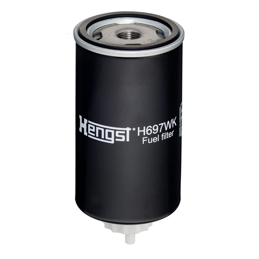 H697WK Hengst