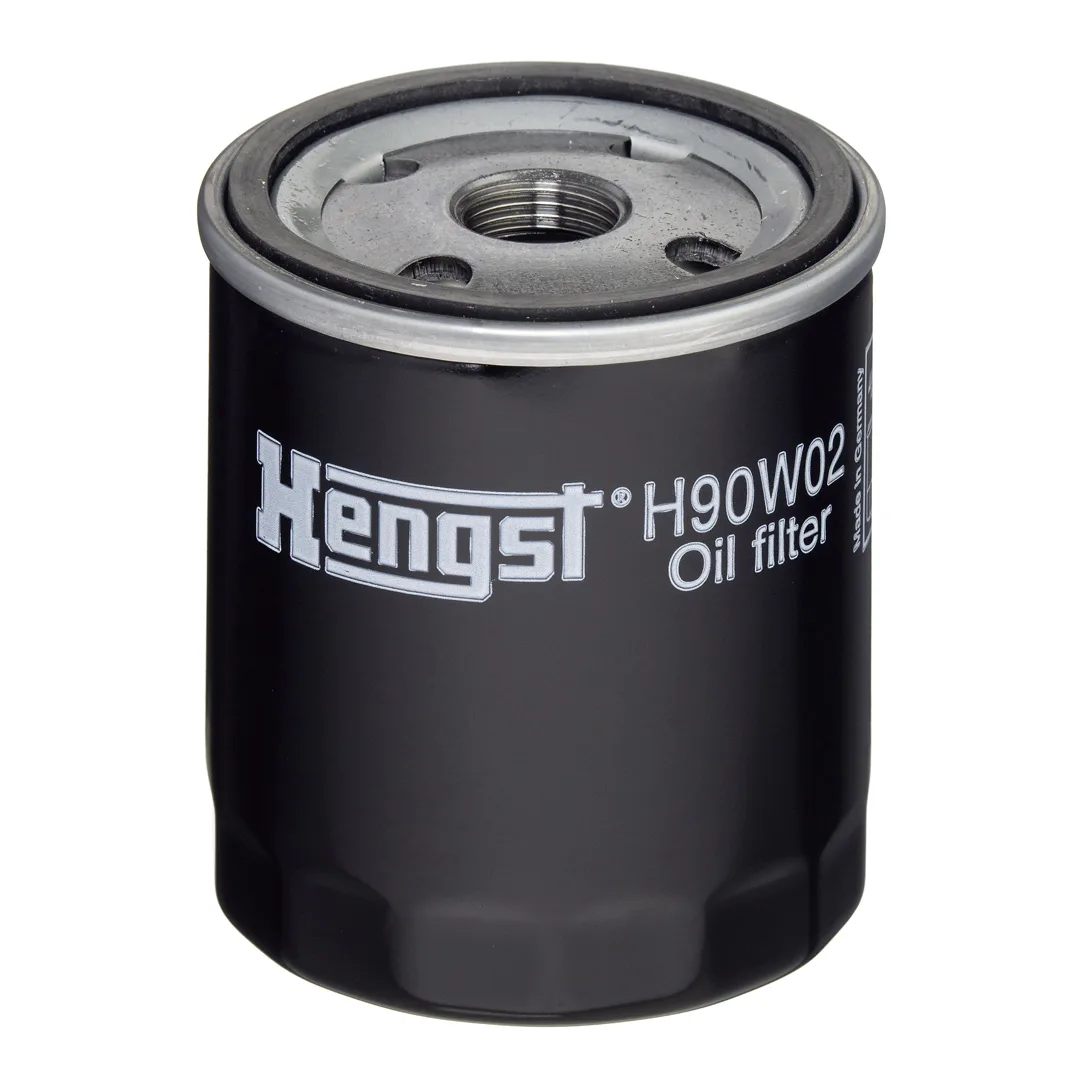 H90W02 Hengst