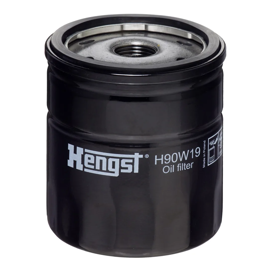 H90W19 Hengst