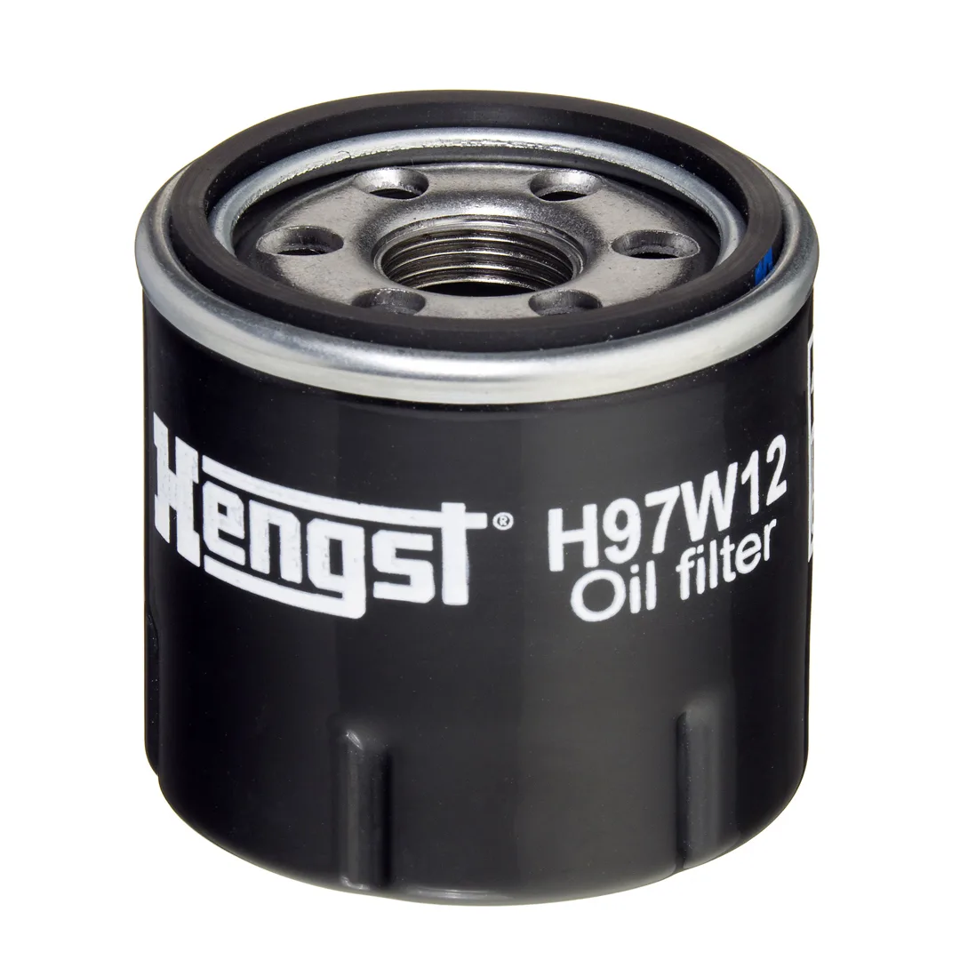 H97W12 Hengst