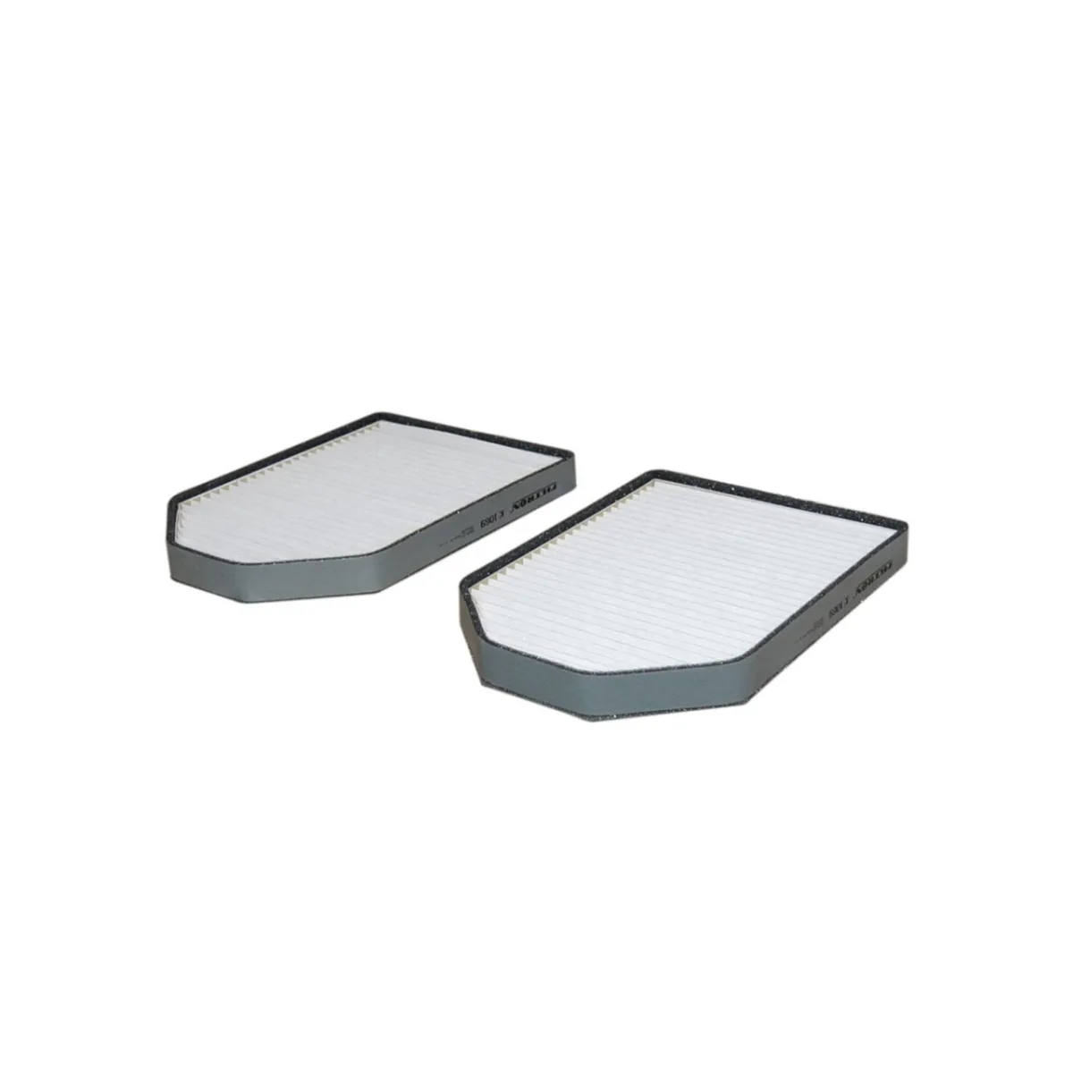 K1069-2X Filtron
