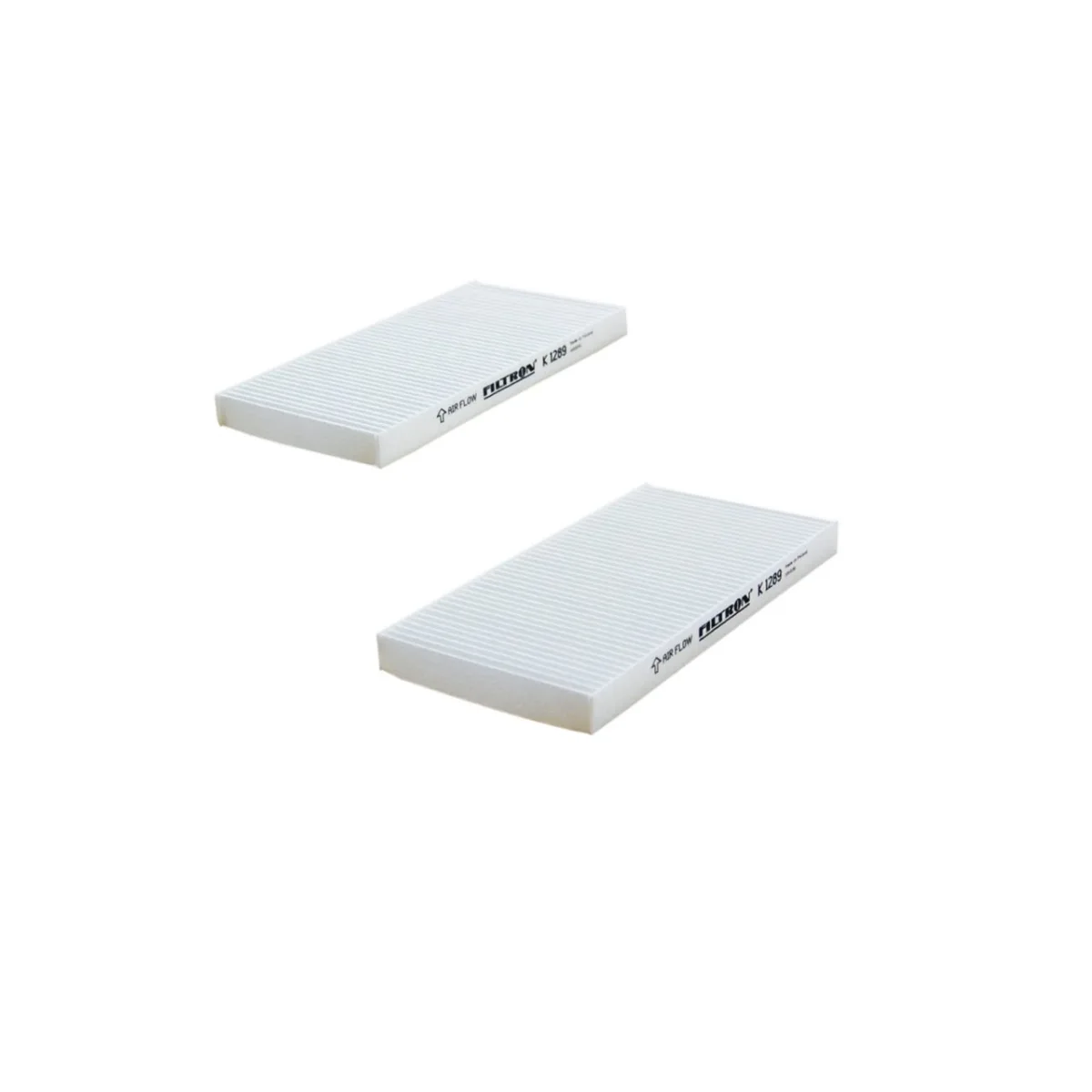 K1289-2X Filtron