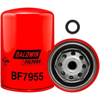 BF7955
