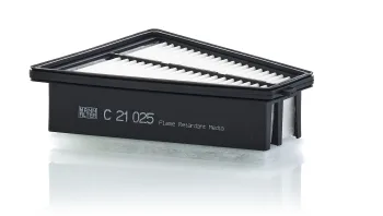 C21025