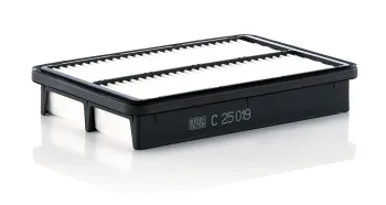 C25019