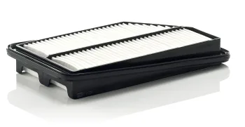 C31005