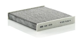 CUK1919