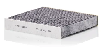 CUK22011