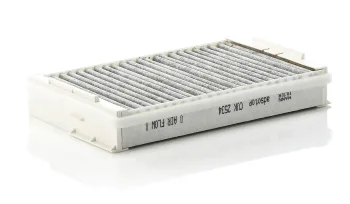 CUK2534