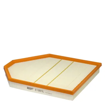 E1081L