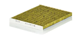 FP24004