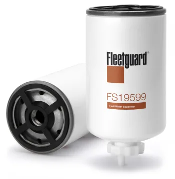 FS19599