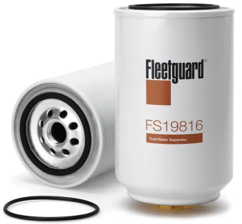 FS19816