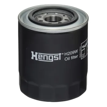 H209W