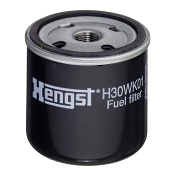 H30WK01