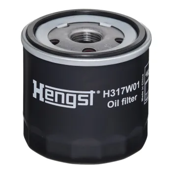H317W01
