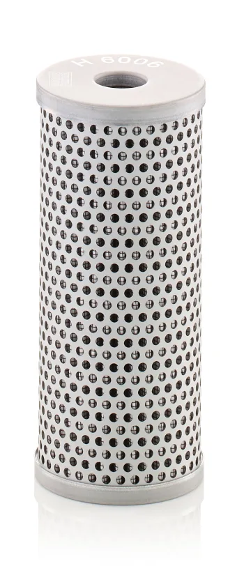 H6006
