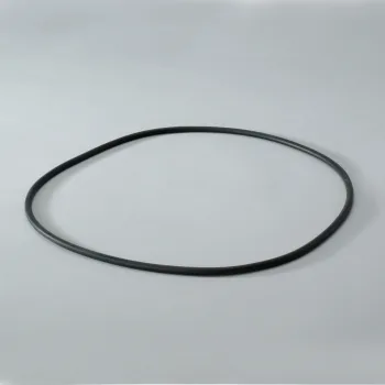 P017335