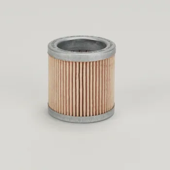 P502519