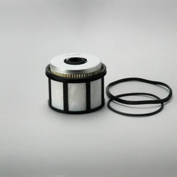 P550437