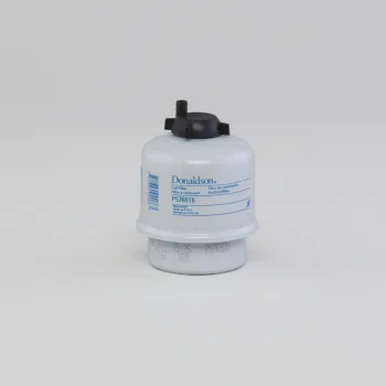 P576918
