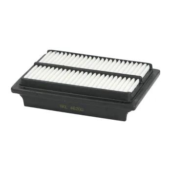 SKL46200