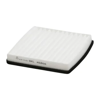 SKL46866