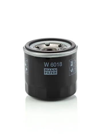 W6018