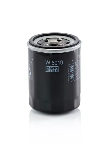 W6019